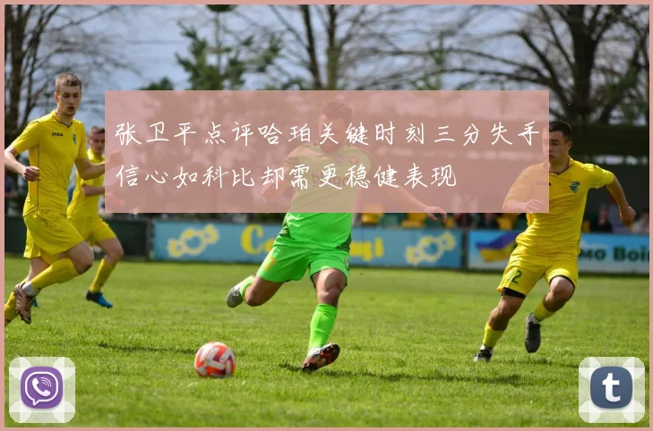 张卫平点评哈珀关键时刻三分失手信心如科比却需更稳健表现